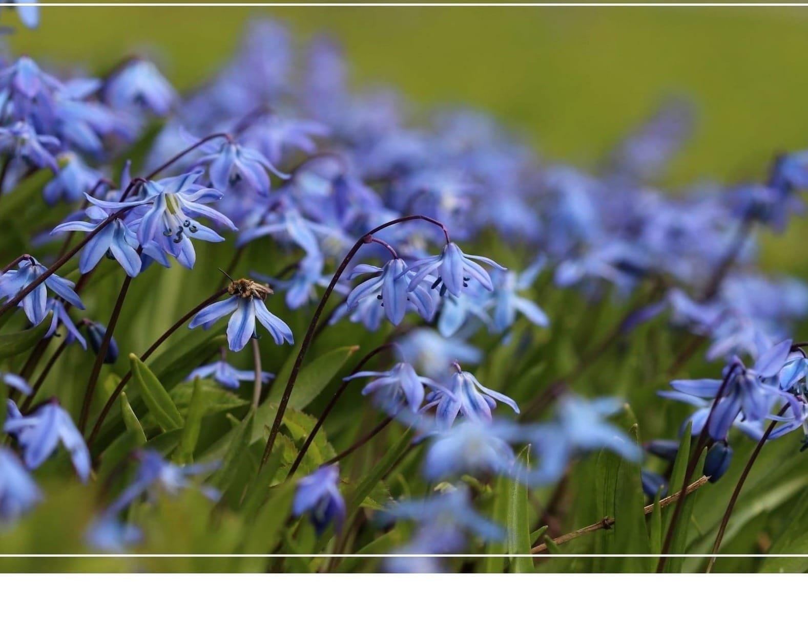 Liljeland Landskap AB